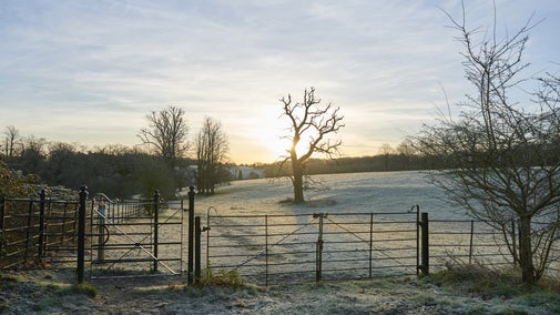 Sunrise above the frosty parkland at Basildon Park, Berkshire